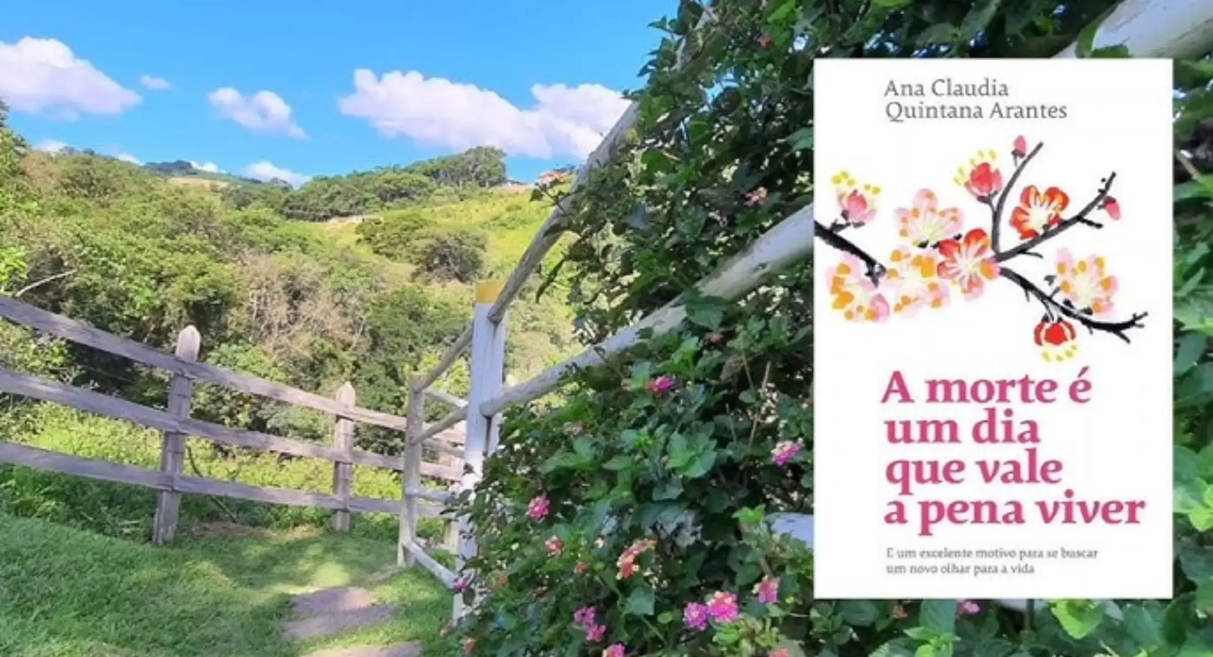 A morte é um dia que vale a pena