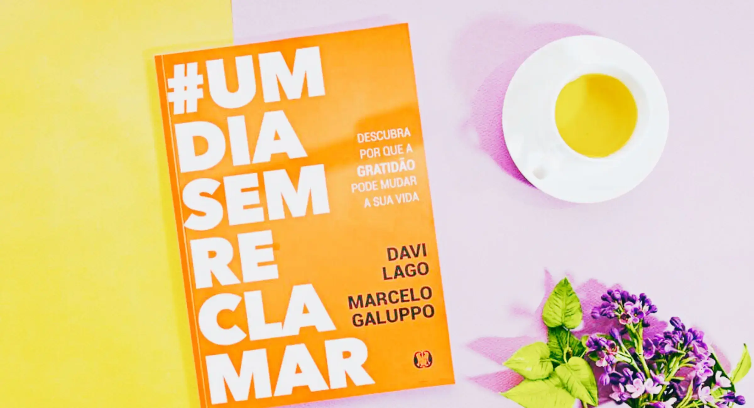 Um dia sem reclamar Blog ebookuniverse